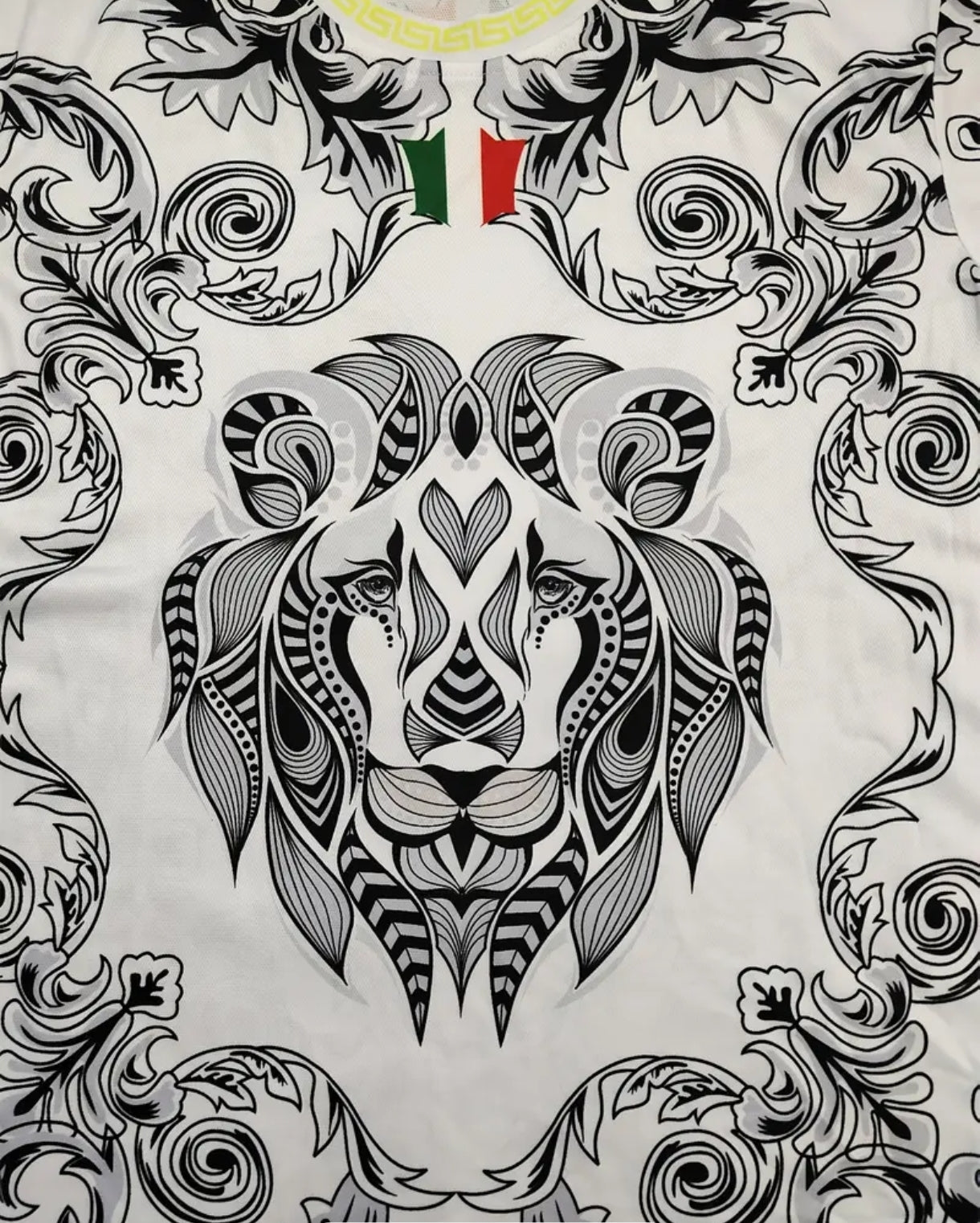 New Italy stylish jerseys